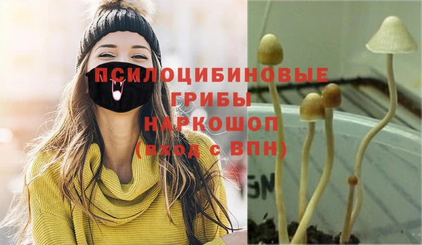 таблы Осташков
