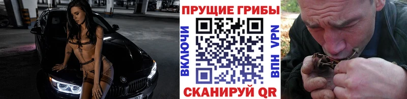 Псилоцибиновые грибы прущие грибы  где купить наркоту  Унеча 