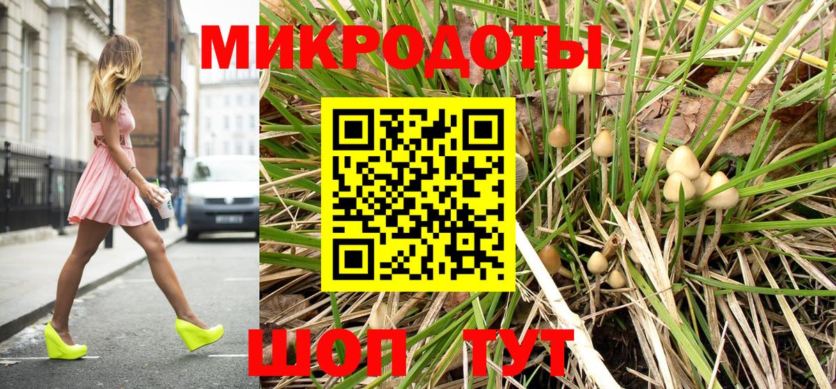 Унеча  Псилоцибиновые грибы мухоморы  Вход с VPN 